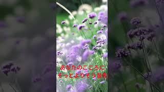あなたのこころにそっとよりそう音色 #癒し