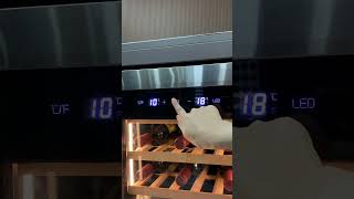 a fantastic wine fridge for you #winecellar #winecooler #winefridge #winetime #winelovers