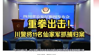 正义再度执行！11名网络暴力组织“仙家军”成员被捕伏法