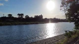 夕日