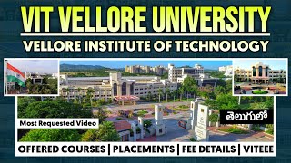 VIT University EXPOSED What You Need to Know About Courses and Placements