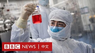 北京譴責多國針對中國的旅行限制 WHO籲分享疫情數據－ BBC News 中文