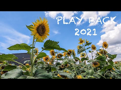 【千葉県散策】あふたーすくーるの7月〜9月【PLAY BACK 2021】