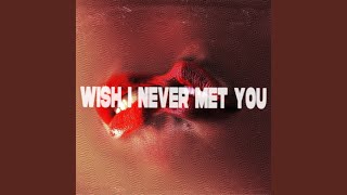 Wish I Never Met You
