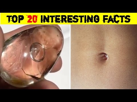 నమ్మలేని 20 నిజాలు😱🔥 | facts in telugu interesting | 20 Telugu Facts new | Unknown facts