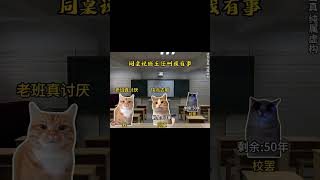 我能看见别人的剩余寿命2 #猫meme#抽象#猎奇#虚构演绎仅供娱乐