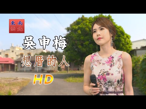 台語歌曲 吳申梅 演唱 想厝的人