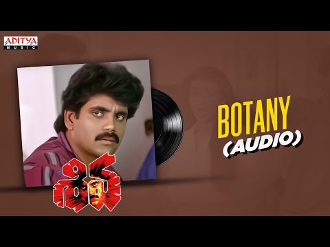 Botany Audio | Shiva | Nagarjuna, Amala | Ramgopal Varma | Ilayaraja