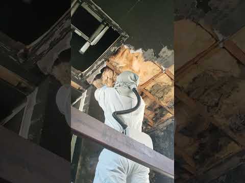 Big Progress! Removing Fire-Damaged Ceiling in Bearsted (Part 3)