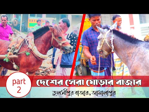 ঐতিহ্যবাহী জামালপুর তুলসীপুর ঘোড়ারহাট |  Tulshipur Ghorar Hat  vlog @SJVLOGTV-nd7ue