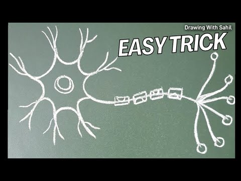 neuron diagram | how to draw neuron | nerve cell diagram | neuron diagram easy | diagram