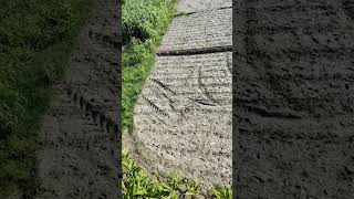 #viralposts #viral #viralpost #explorepage #trending #viralvideos #instagram #explore #viral