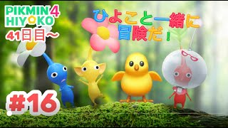 【ピクミン４ 41日目~】ひよこと不殺の誓い！☆になったら写経が待つ配信！【#16ひよりひよこ】