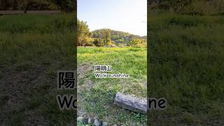 陽明山散步 台湾 台北 陽明山観光  Taiwan Taipei Yangmingshan  대만  타이베이 양명산