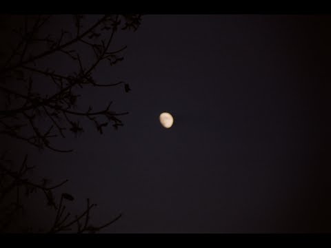 In the Stillness - Sound Story by Finn Fetherstonhaugh