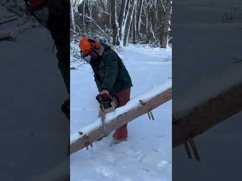 Chainsaw basics for a beginner