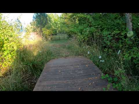 From the creek