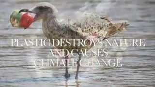 We are next #Film4Climate