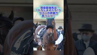 「現役最強馬は“ベラジオオペラ”？ファンの評価が真っ二つ！」 #競馬 #ゆっくり解説 #べラジオオペラ