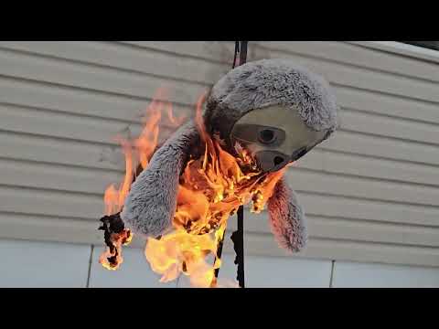 Burning a Cute Plush Sloth