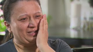 Mother pushing car killed in hit-and-run leaves behind 3 young daughters
