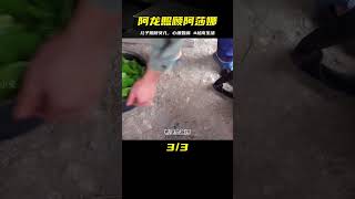 阿莎娜在家生病了，阿龍上山采摘藥材照顧的很心細，舍不得去醫院#越南生活 #荒野求生 #荒野独居 #求生挑战 #生存挑战 #荒野