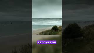 D Day The Liberation of Europe #WorldWarII#WWII#History#WarDocumentary#CausesOfWWII