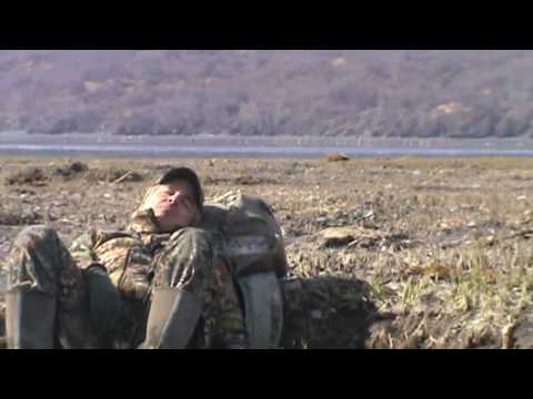 Brown bear hunting in Kodiak Alaska