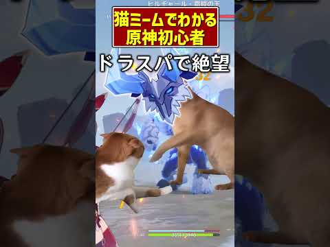 原神初心者猫ミーム #猫マニ　#猫ミーム