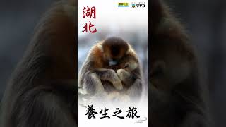 《湖北養生之旅》尋找隱世 絕色美景🏞️