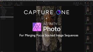 Focus Stacking with Capture One Pro and Affinity Photo