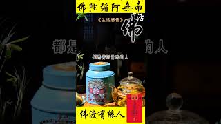 生活不会告诉你路该怎么走，只会教你怎么去适应。其实每个人的生活都不容易，#佛教 #佛學 #治愈 #祝福#正能量 #修心修行 #阿彌陀佛 #智慧人生 #禪意 #禪語 #国学