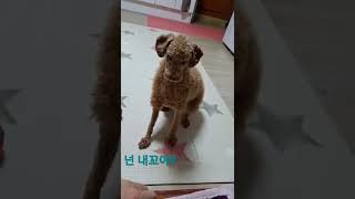 #볼빨간 사춘기#너는 내세상이었어#