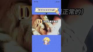 一秒变老虎爪子！！  #万万没想到
