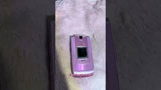 New collection piece !!! #nyc #shorts #retro #tech #retrotech #pink #technology #phone #collector