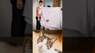 #cat#funny#meme#viralcat#funnyvideo