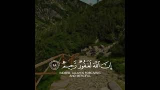 Quran Lines | Islamic Shorts Status | Islamic Videos | Quran Tilawat | Beautiful Quran
