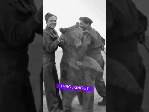 Wojtek