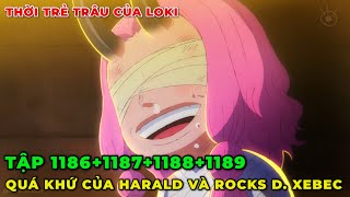 TOÀN BỘ VỀ QUÁ KHỨ CỦA LOKI, HARALD VÀ ROCKS D. XEBEC I REVIEW ONE PIECE ARC ELBAPH I