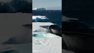 NAVE ALIENIGINA VISTA SAINDO DO MAR DA ANTARTIDA  #darkweb #cibersegurança