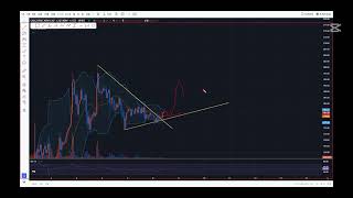 12월 추천코인 보라 칠리즈 비트현황