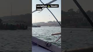 Leviathan 🐍 Vasuki 🐍