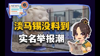 【参考信息第317期】淡马锡没料到；实名举报潮