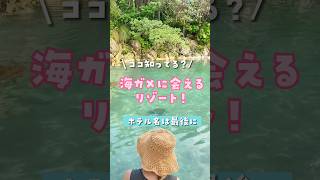 【宮古島】ハネムーンにもおすすめ！まるでハワイなリゾートが最高すぎた( #シギラベイサイドスイートアラマンダ)#宮古島ホテル #記念日ホテル #ホテルステイ #宮古島 #リゾートホテル #ハネムーン