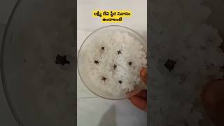 లక్షీ దేవి స్థీర నివాసం ఉండాలంటే ఉప్పు లవంగాలు పరిహరం saltastrology #machirajukira #salttips 🙏🌹🙏