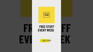 Join the Nocode Tribe vibe
