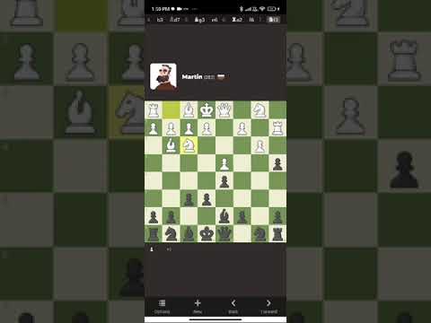 Me vs Martin in Chess