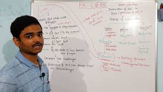 ●FATE OF RBC | Destruction of rbc.
