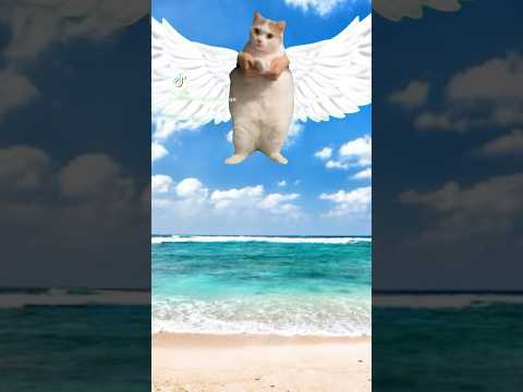 私は神なのだ