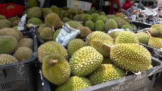 16 famous durian species in Malaysia and Thailand and their origins and differences.